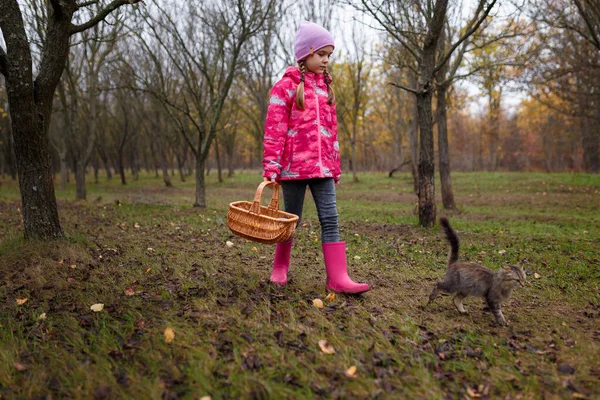 Pembe reçine çizmeli küçük kız sonbahar ormanlarında kedi yavrusuyla yürüyor.
