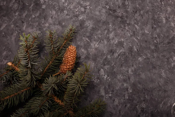 Blauer Tannenzweig Mit Großem Zapfen Auf Grauem Holzgrund Frohe Weihnachten — Stockfoto