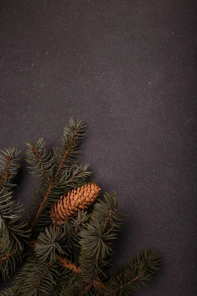 Blauer Tannenzweig Mit Großem Zapfen Auf Grauem Holzgrund Weihnachtskarte Kopierraum — Stockfoto