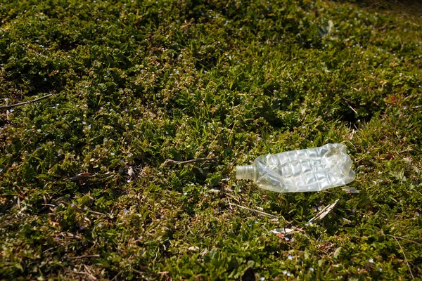 Empty Crumpled Plastic Bottle Green Grass Background Plastic Environmental Pollution — Stockfoto