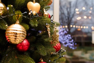 Mutlu Noeller için süslenmiş firavun ağacı dalları kırmızı ve altın süslemeler, çelenkler. Pencerenin arkasında ışıklar yanar, sokak arkaplanı