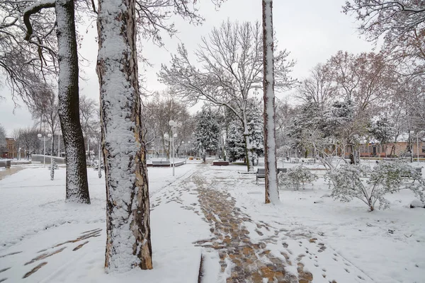 Beautiful Winter Landscape Park Trees Firs Covered Snow Street Bench — 스톡 사진