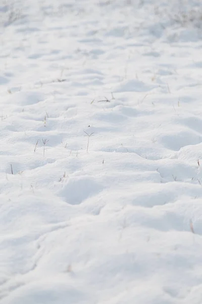 Beautiful White Pure Snow Texture Background Winter Precipitation — стоковое фото