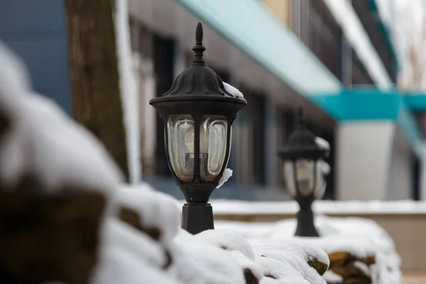 decorative lamps on hedge covered with snow, winter city landscape close up shot