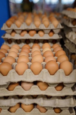 Paskalya indirimi: markette ya da süpermarkette kağıt kutularda tavuk yumurtası. Market toptancılığı. Dikey çekim