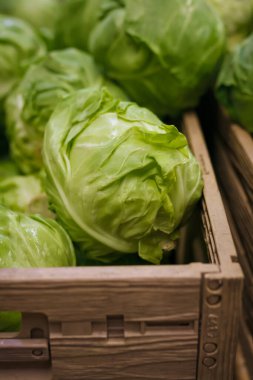 Tezgahta taze bahar lahanası, markette sebze bölümü, süpermarket, market. Vejetaryen sağlıklı yiyecekler