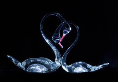 iki kristal kuğu siyah zemin