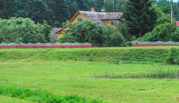 Wieś krajobraz lato — Zdjęcie stockowe