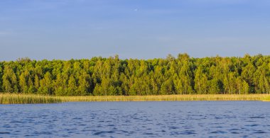 büyük göl ormanıyla çevrili