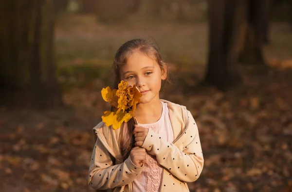 Портрет Красивої Дівчинки Восени Парку — стокове фото