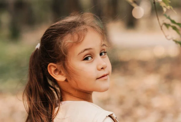 Портрет Красивой Маленькой Девочки Осенью Парке — стоковое фото