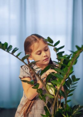 Saksı çiçekleriyle ilgilenen küçük bir kız. Evdeki bitkiler. Ev çiçekleri. Odada çiçekleri sulayan kız.