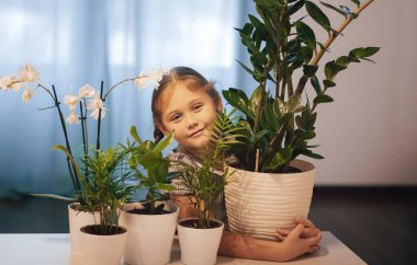 Saksı çiçekleriyle ilgilenen küçük bir kız. Evdeki bitkiler. Ev çiçekleri. Odada çiçekleri sulayan kız.