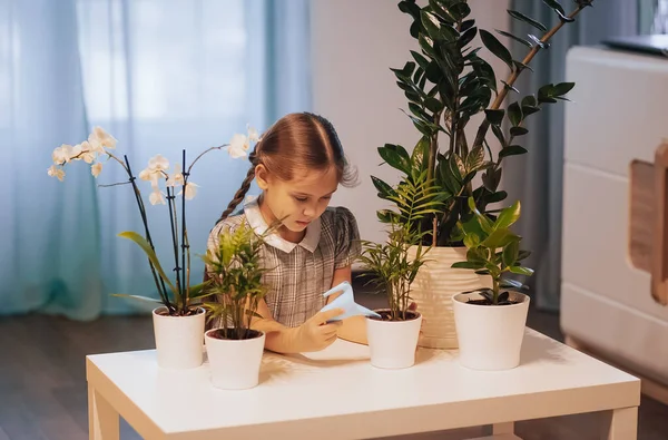 Menina Cuidando Flores Vaso Plantas Casa Flores Casa Menina Regando — Fotografia de Stock