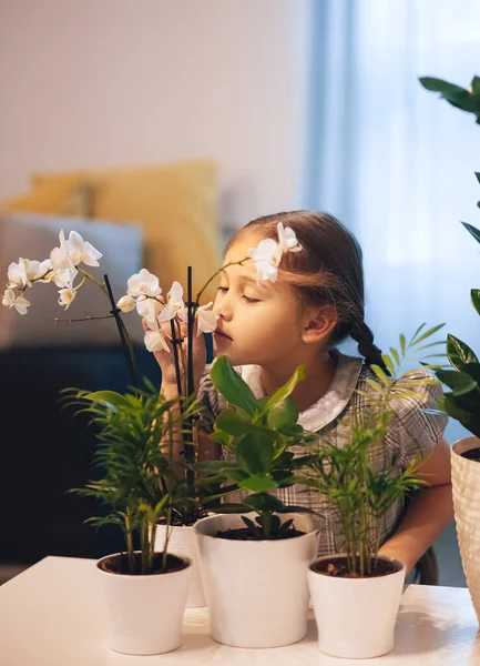 Маленька Дівчинка Піклується Про Квіти Горщиками Рослини Будинку Домашні Квіти — стокове фото