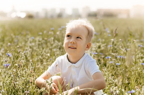 Small Handsome Boy Blonde White Shirt Nature Summer Happy Childhood — Stock Photo, Image