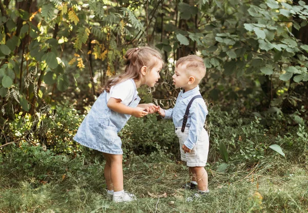 Liten Pojke Och Flicka Barn Som Går Genom Parken Porträtt — Stockfoto