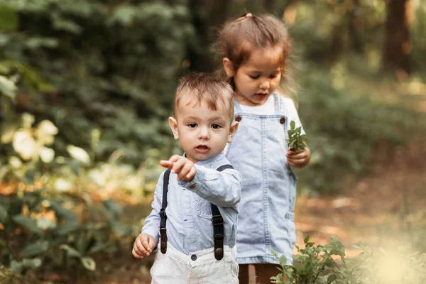 Liten Pojke Och Flicka Barn Som Går Genom Parken Porträtt — Stockfoto
