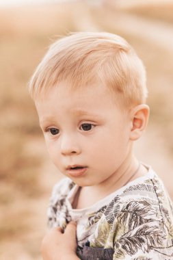 Küçük çocuk yazın doğada oynar ve yürür. Mutlu bir çocukluk. Pozitif duygular