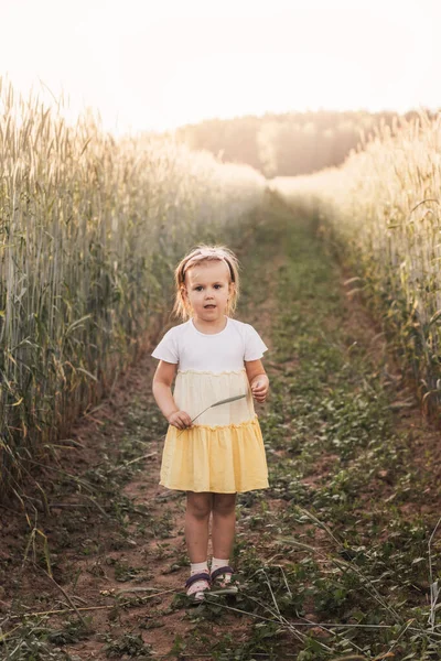 Little Girl Play Meadow Summer — Fotografia de Stock