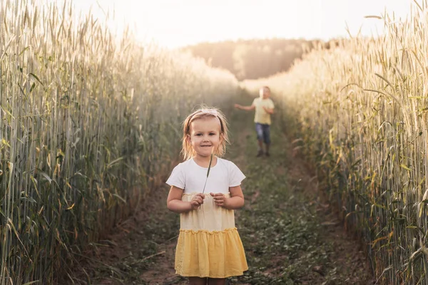 Little Boy Girl Play Field Kids Summer Meadow Family Vacation — стоковое фото