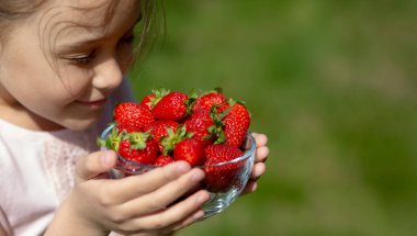 Doğada çilekli küçük kız tutuşu tabağı. Bahçıvanlık ve tarım kavramı. Vejetaryen.. 