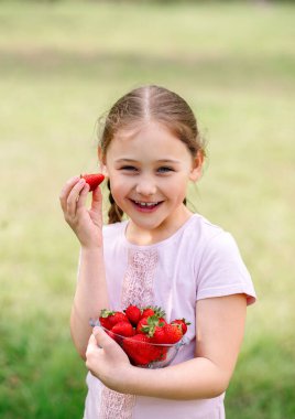 Doğada çilekli küçük kız tutuşu tabağı. Bahçıvanlık ve tarım kavramı. Vejetaryen.. 