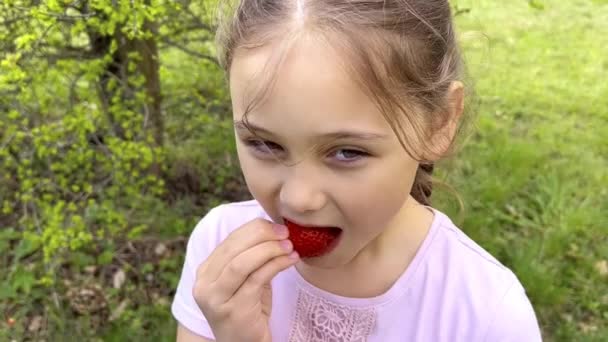 Portrait Happy Cute Little Girl Eating Strawberries Summer Day — Stockvideo
