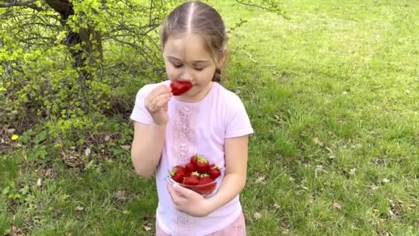 快乐可爱的小女孩的画像是夏天吃草莓 — 图库视频影像