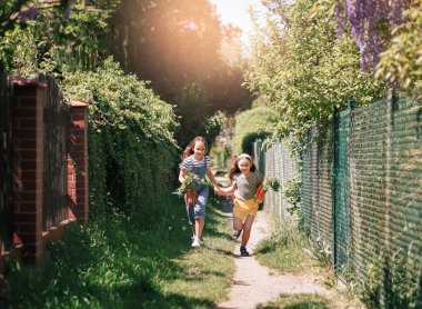 Bahçede gülümseyen iki küçük kız bir demet taze havuç tutuyor.. 