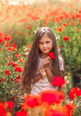 Yaz güneşinde haşhaş tarlasında poz veren uzun saçlı küçük kız. Dikey