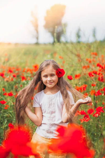 Маленька Довгошерста Дівчинка Позує Полі Маками Літньому Сонці Вертикальний — стокове фото