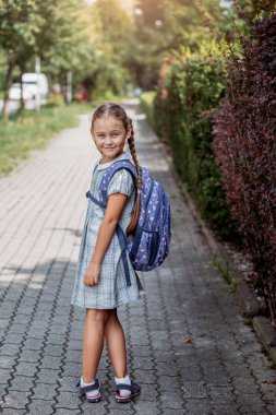A little girl in a dress with pigtails holds large blue backpack and walks on road alley. First september day in elementary school.