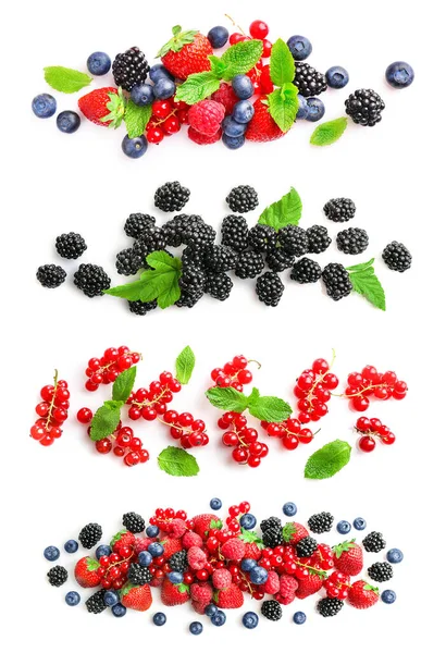 Set Different Wild Fresh Berries Isolated White Background — Stock Photo, Image
