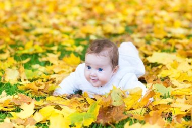 bir sonbahar parkında oynayan kız bebek