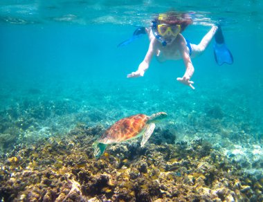 Çocuk bir tropikal deniz şnorkel