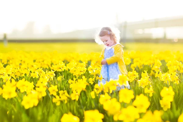 Meisje op een gebied van gele narcissen bloemen spelen — Stockfoto