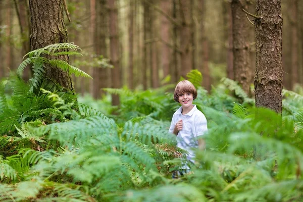 Écolier jouer dans une forêt — Photo