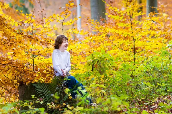 Happy boy playing in an autumn park — Stock Photo, Image