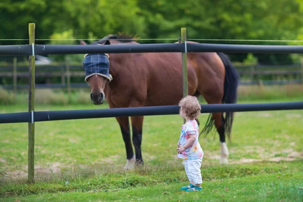Baby flicka som leker med en häst på en gård — Stockfoto