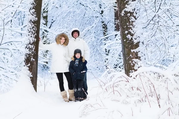 Familia con en un parque cubierto de nieve —  Fotos de Stock