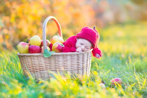 Newborn baby in big basket with apples — Stock Photo, Image