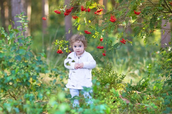 Bambina in un bellissimo parco autunnale — Foto Stock