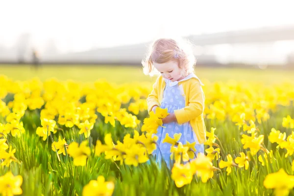 Chica jugando en un campo de flores de narciso amarillo — Foto de Stock