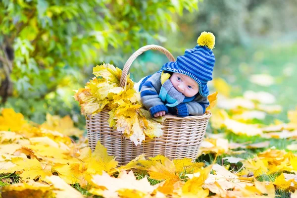 Newborn baby in a basket — Stock Photo, Image