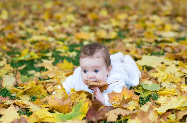 Bir sonbahar parkında oynayan kız bebek — Stok fotoğraf