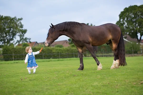 Söt liten baby flicka utfodring en stor häst — Stockfoto