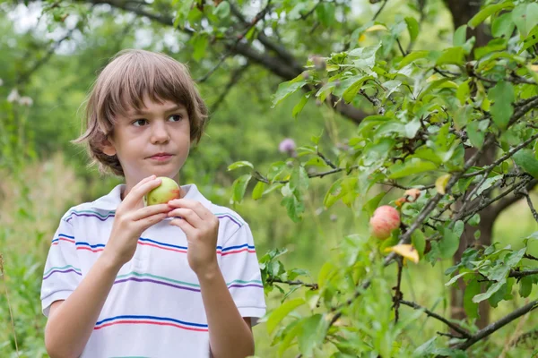 Niño en un jardín —  Fotos de Stock