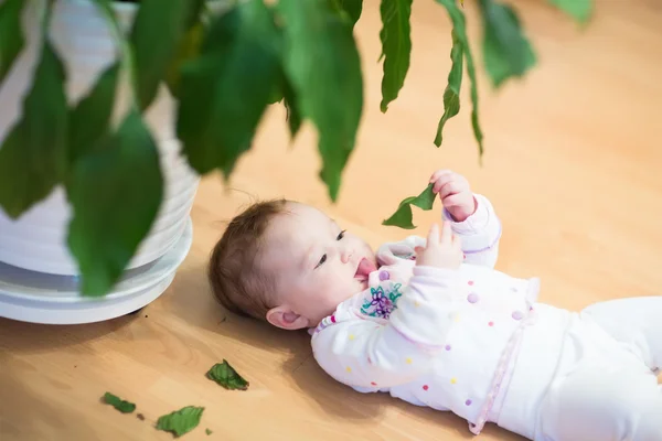 Bambina sdraiata vicino a un vaso da fiori — Foto Stock