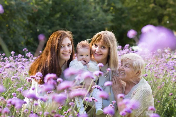 Quatre générations de belles femmes dans un champ — Photo